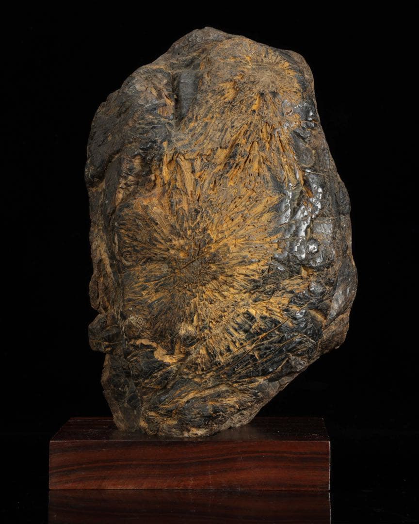 根尾川 菊花石 六華　台座 共箱付 6kg 鑑賞石 原石 自然石 美石 飾石
