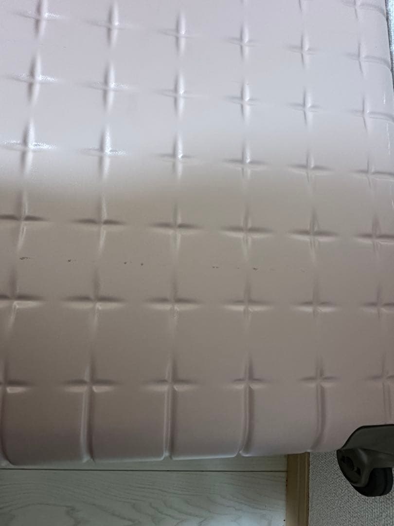 PROTECA スーツケース 97L