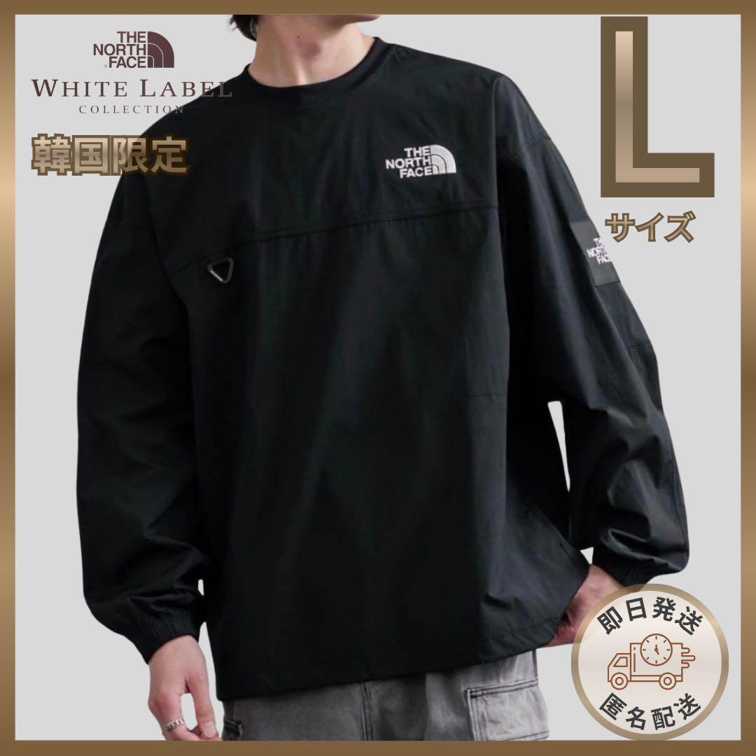 【新品】韓国限定　ノースフェイス　Lサイズ　アルバニークルーネック　黒