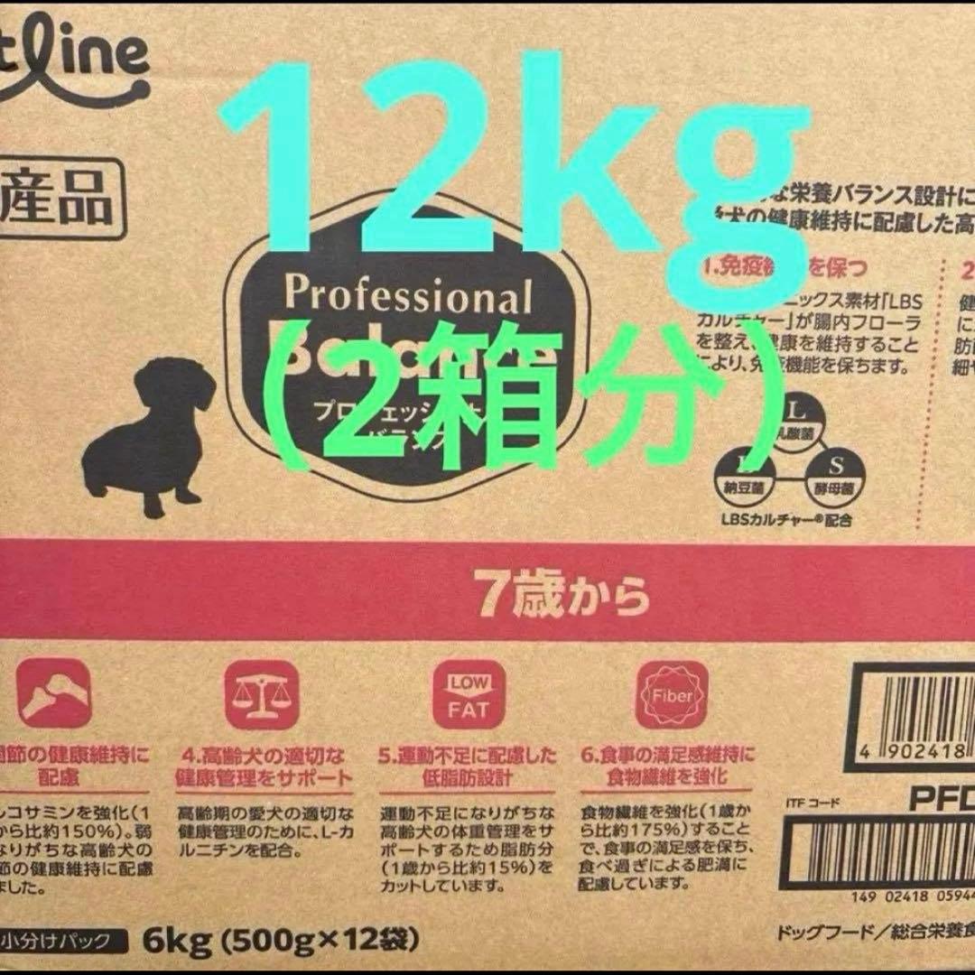 プロフェッショナルバランス　7歳から