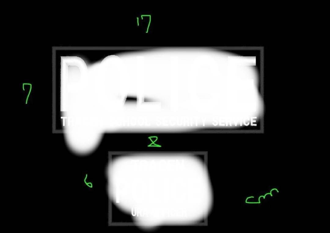 オリジナルベルクロタイプ各一枚