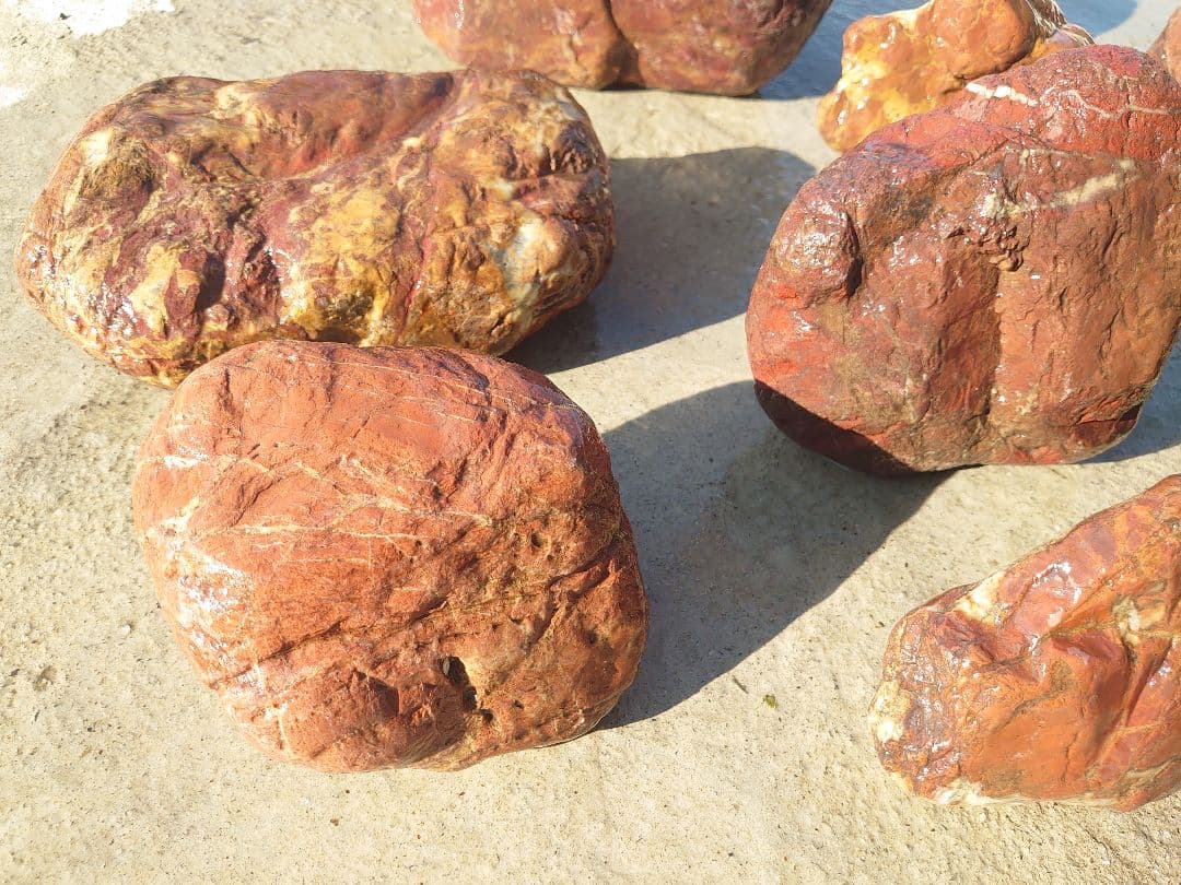 京都産 赤石 紅加茂石 10石 25kg 庭石 花壇 加茂七石 観賞石