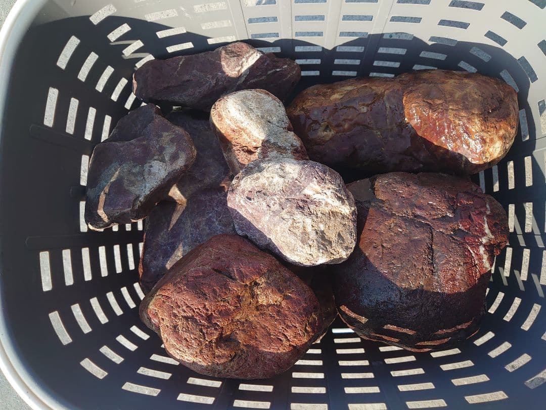 京都産 赤石 紅加茂石 10石 25kg 庭石 花壇 加茂七石 観賞石