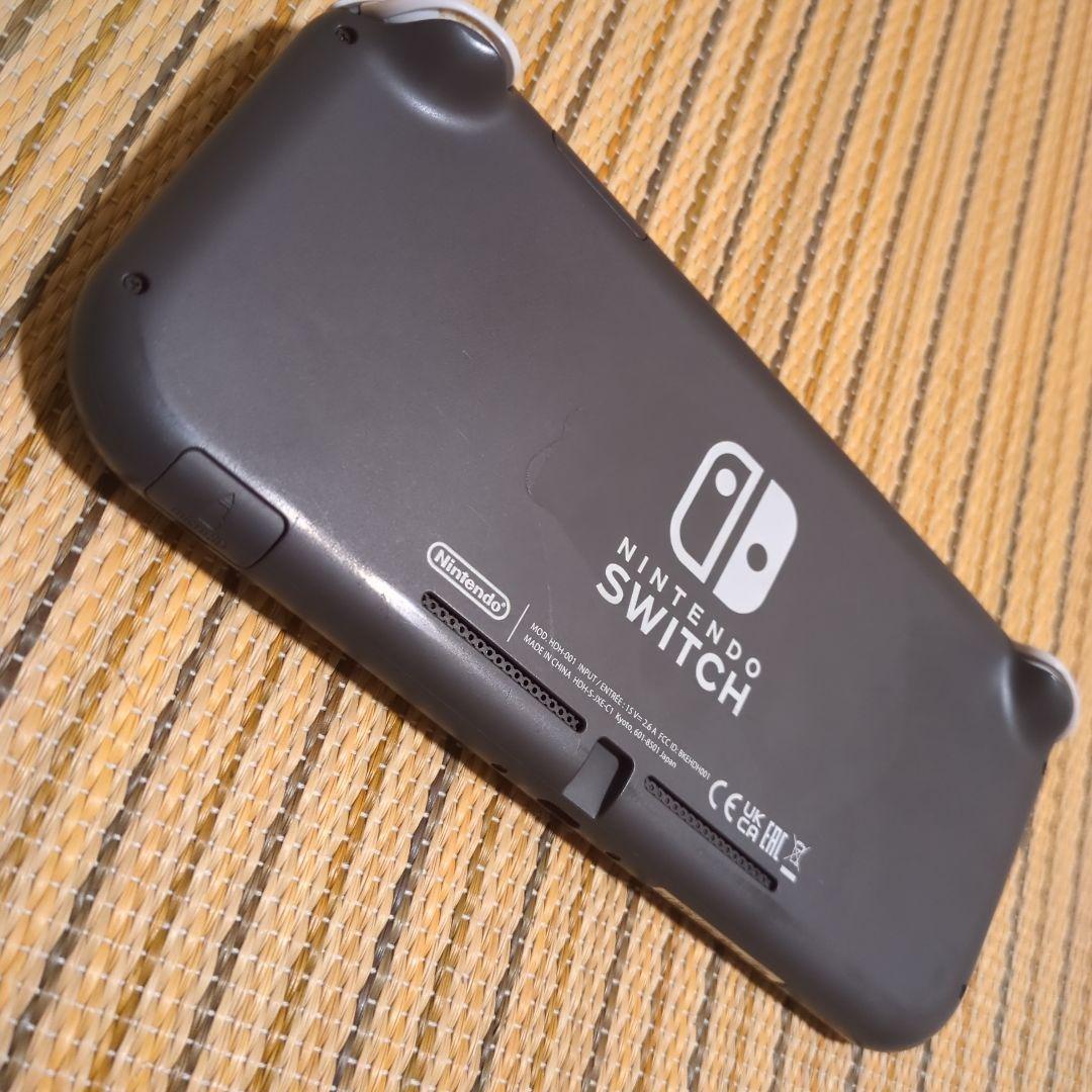 Nintendo Switch Lite グレー ピクミン4ダウンロード版付き