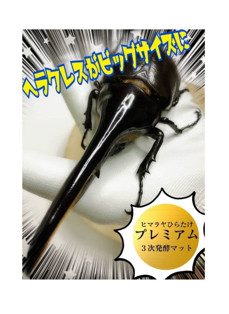ヘラクレスがギネス級に！プレミアム3次発酵マット【50L】特殊アミノ酸強化配合！