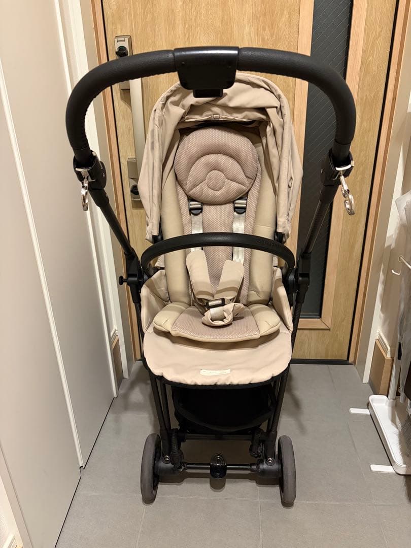 メリオカーボン　2022 ベージュ　サイベックス