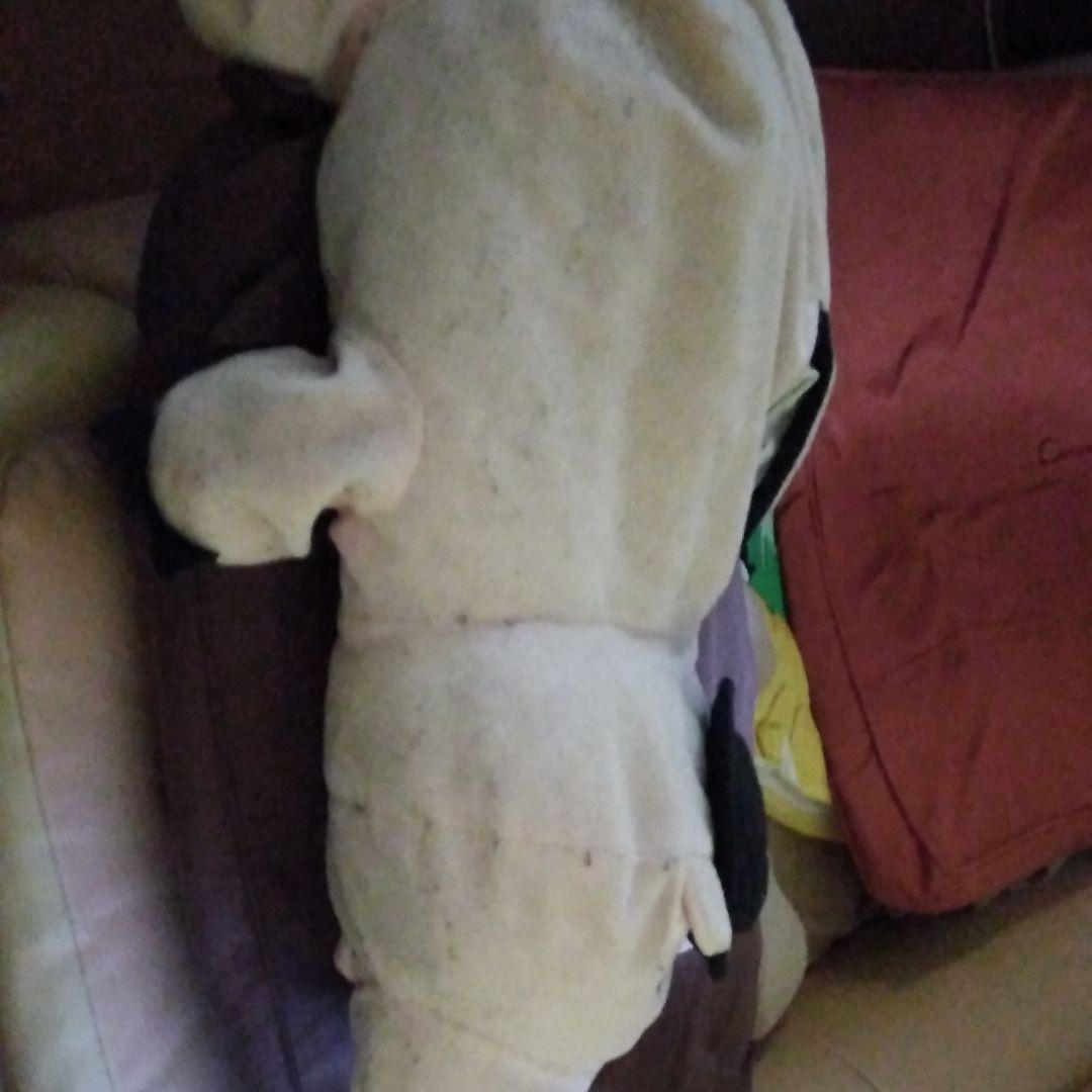 ブタのティッシュ入れ