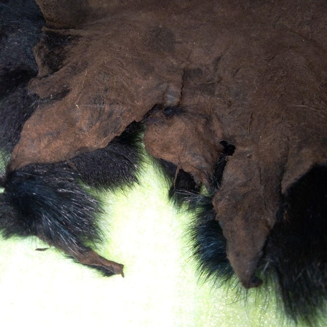 黒のファー　黒色　ブラック　BLACK　うさぎ？　ラビットファー？　皮　毛皮