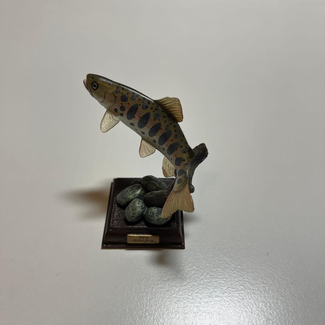 ネイチャーテクニカラー　日本の清流　アマゴ　トウヨシノボリ