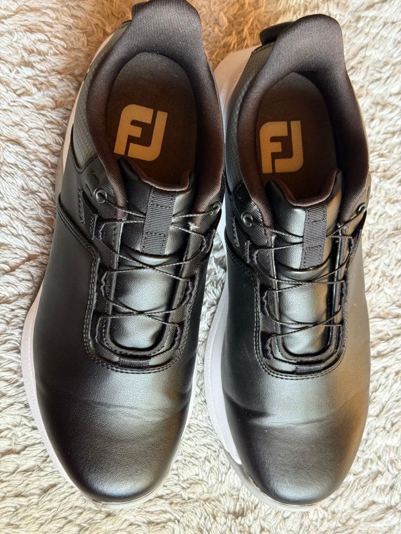 クレマチス様　プロライト BOA 24cm 黒/グレー