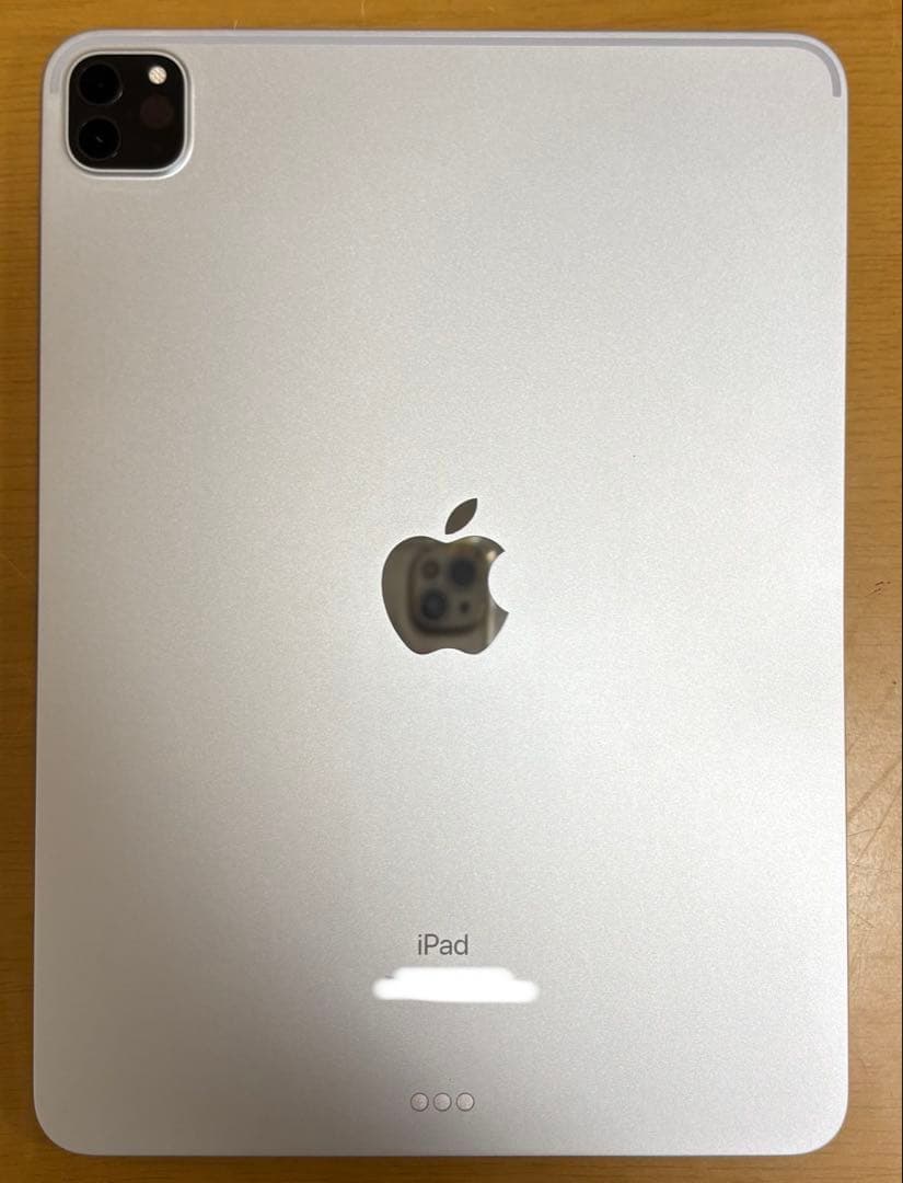 iPad Pro 11インチ（第2世代）2020年モデル 本体 ⚠️ジャンク品