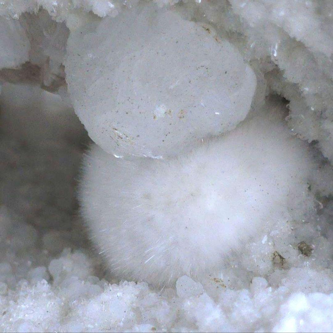 ❤︎モフモフで可愛い人気の❤︎オケナイト Okenite オーケン石