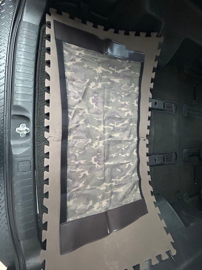 デリカ　D5 防虫ネット