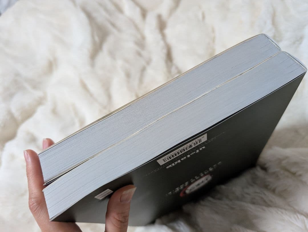 TVアニメ「鬼滅の刃」 竈門炭治郎 立志編 アニメーション原画集上下セット