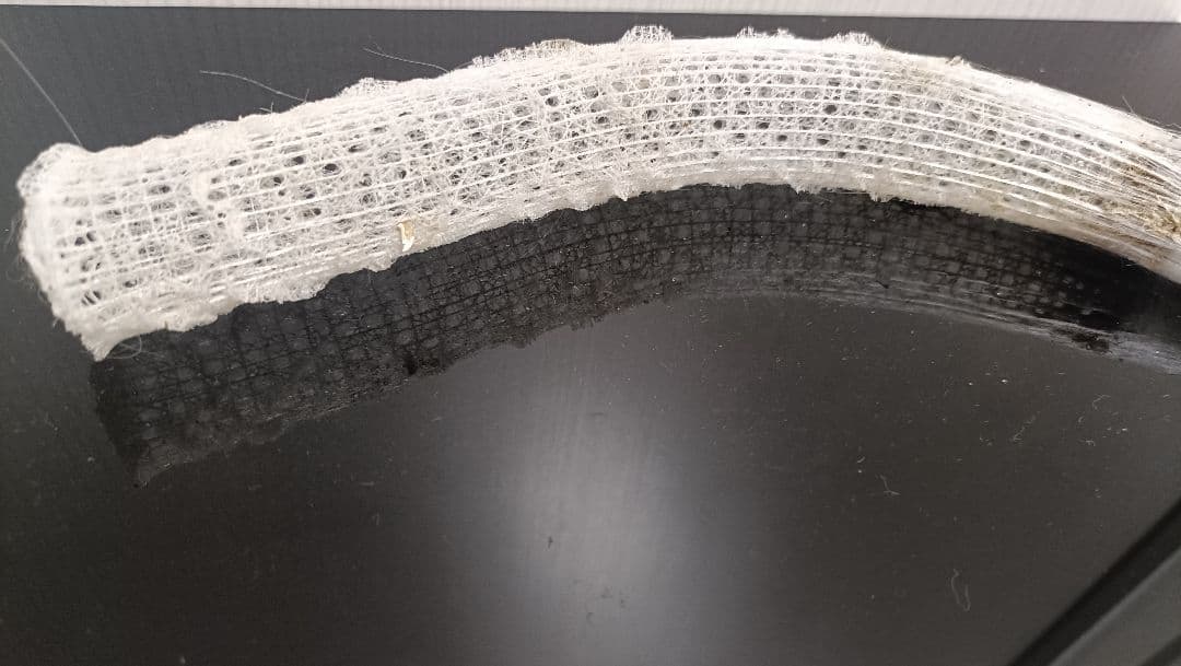 【1点物】極希少☆極美品カイロウドウケツ 縁起物 深海生物 25-30cm 標本