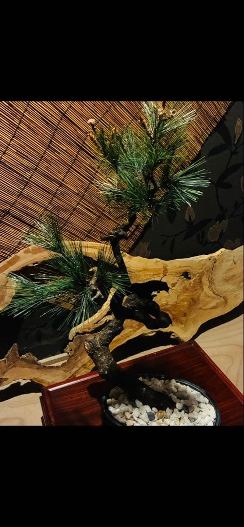 ミニチュア盆栽 (フェイク盆栽)