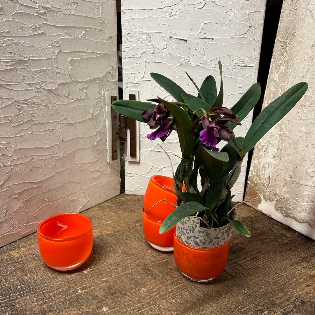 花器　花瓶　ガラス器　4つセット