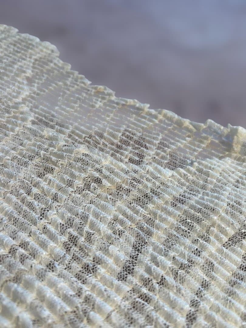 ISSEY MIYAKE プリーツ 花柄刺繍入り ブラウス L