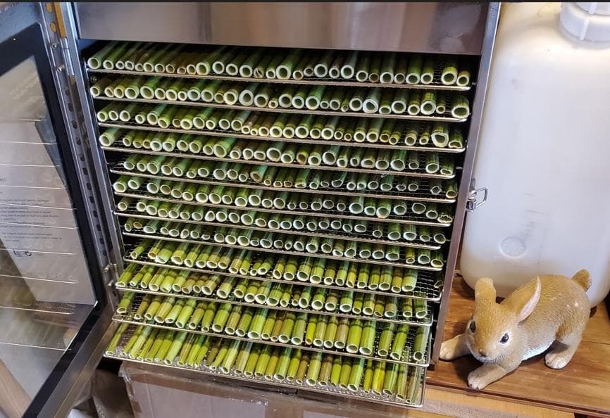 大容量　2800g　(国産・高品質)乾燥パパイヤの茎（無農薬・有機肥料）