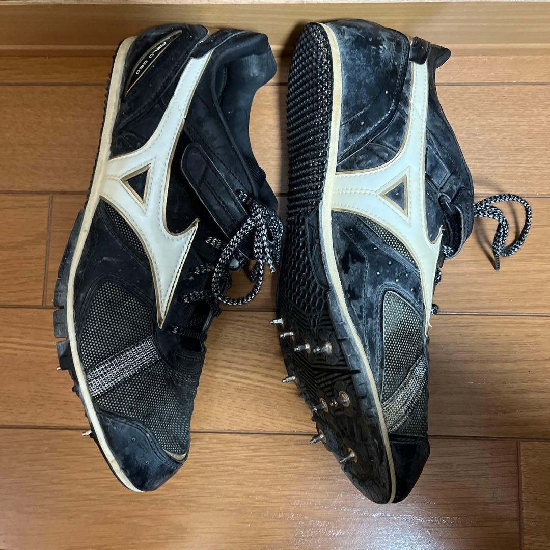 フィールドジオ ljc