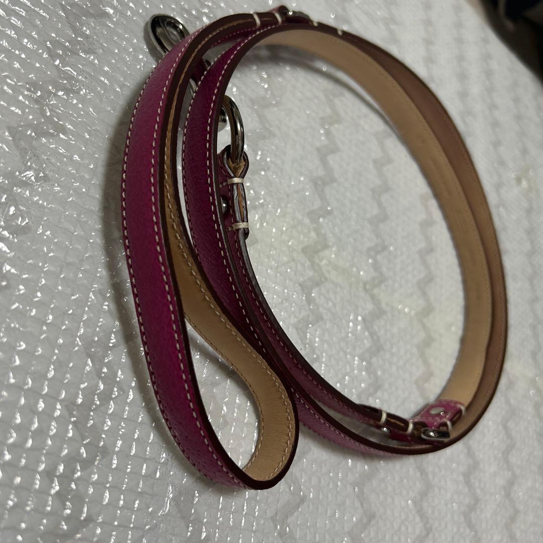 COACH ピンク レザー 首輪とリードセット