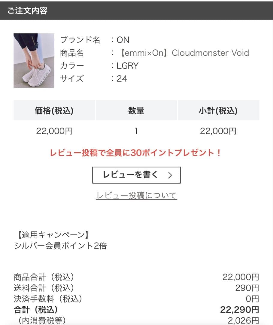 emmi×On Cloudmonster Void 24cm