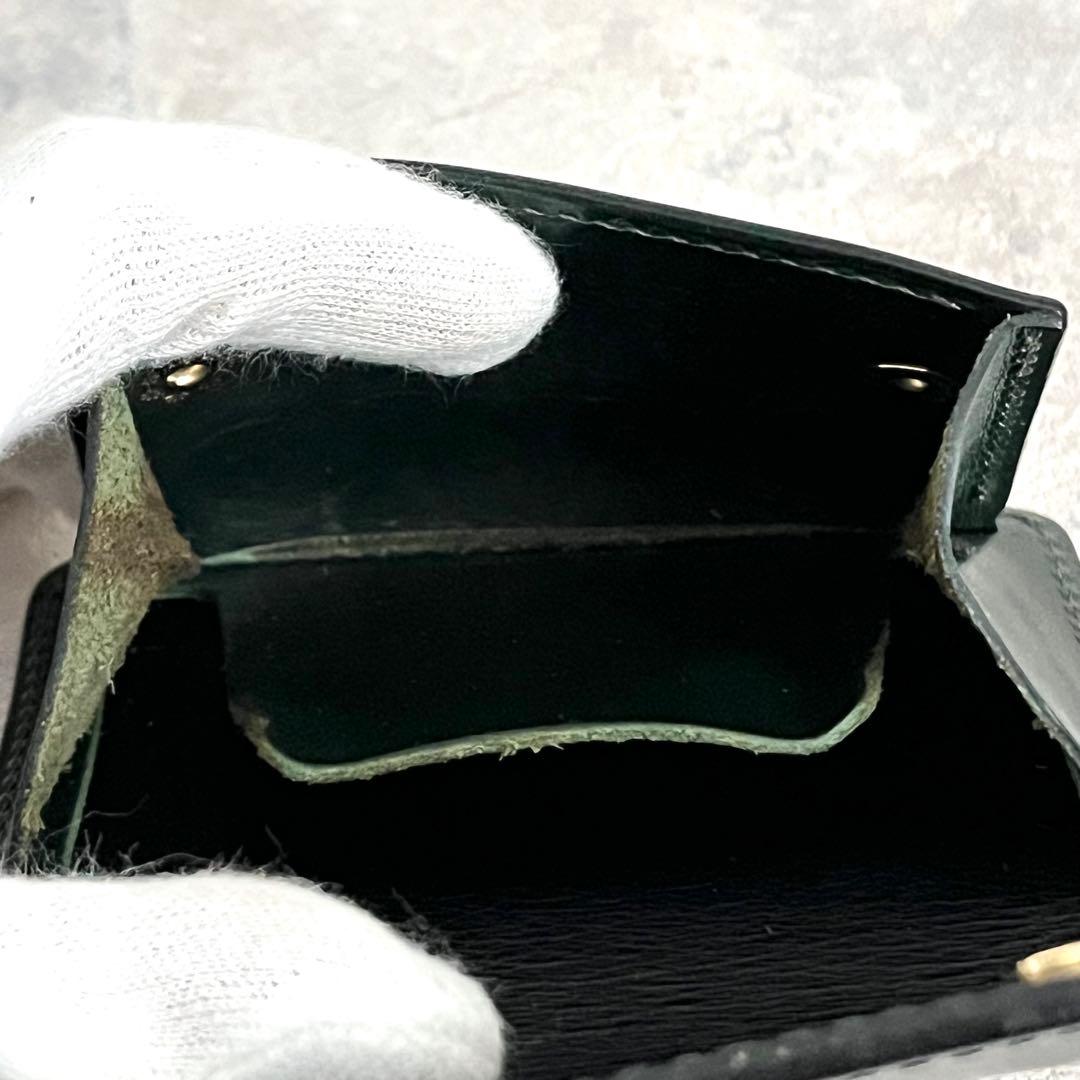 ✨限定カラー✨ワイルドスワンズ タング グリーン ケース サドルプルアップ