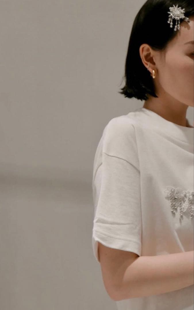 Tanaka Daisuke / crystal hair clip 右用