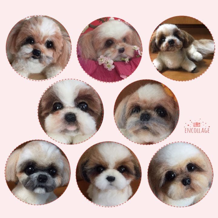 羊毛フェルトオーダー受け付け専用ページ