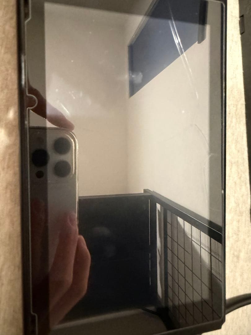 Nintendo Switch 本体 付属品あり欠品しているものあり