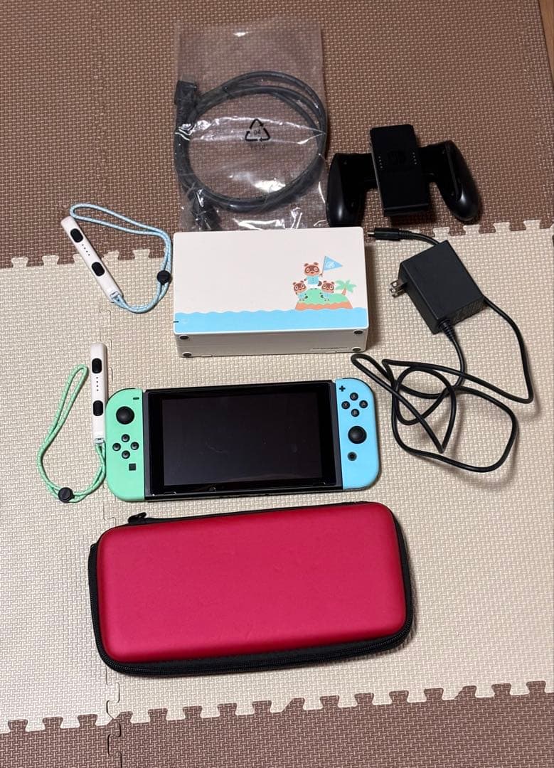 も*4様 Nintendo Switch 本体 あつまれ　どうぶつの森　セット