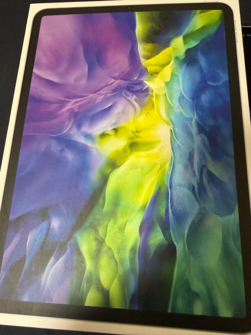 【美品】iPad Pro 11インチ第2世代 1TB wifi＋セルラーモデル