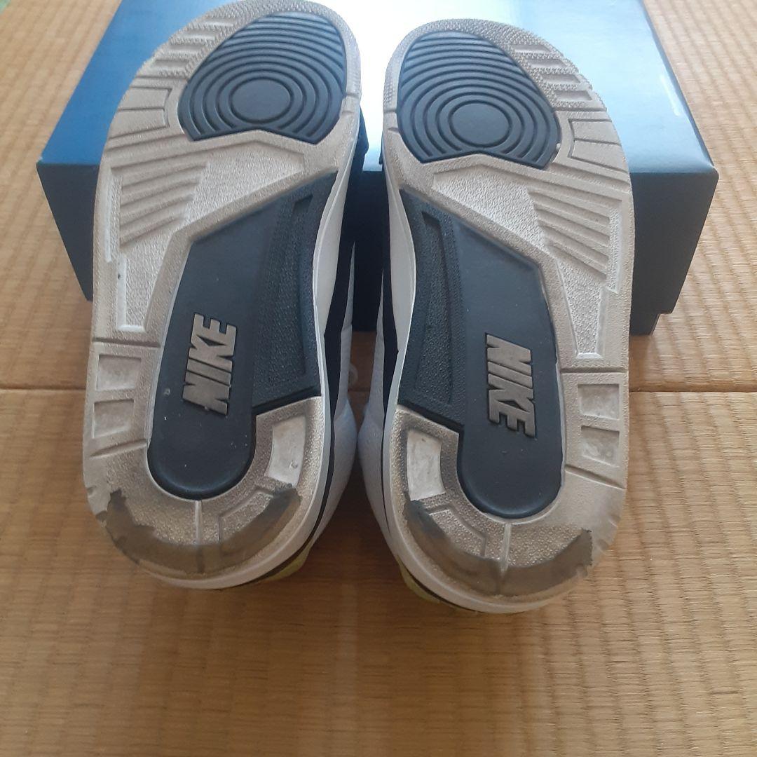 靴 AIR JORDAN 3 FRAGMENT 29cm