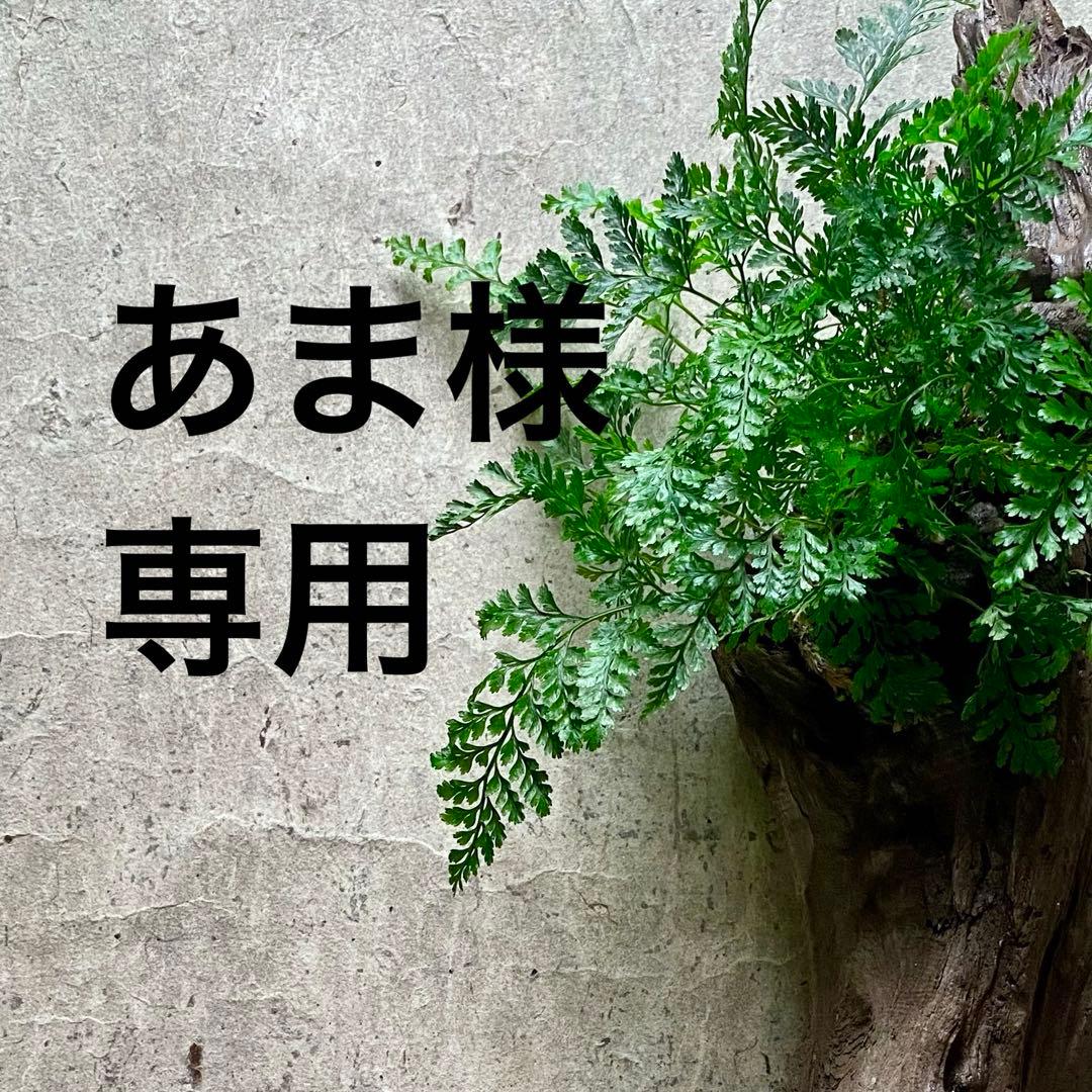 あまページです。画像の品物4種を各3個