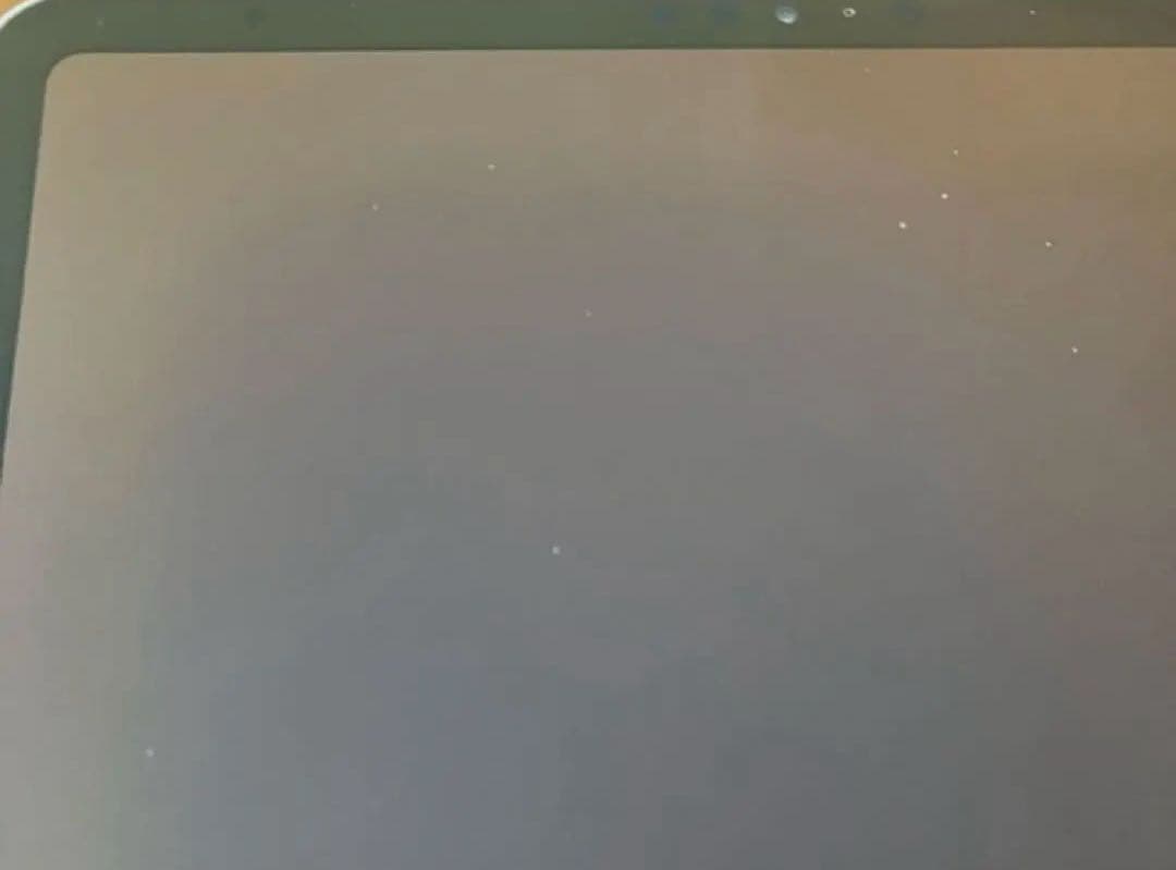 【完動品】iPad Pro 11インチ 第2世代 256GB 【すぐ発送】