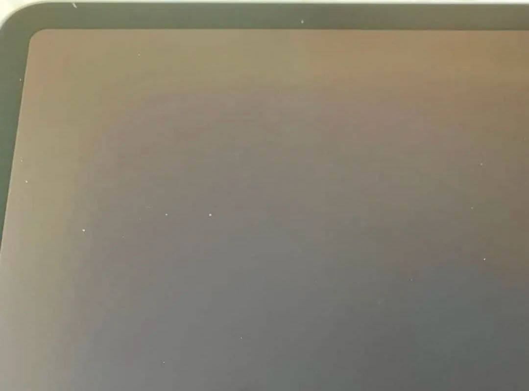 【完動品】iPad Pro 11インチ 第2世代 256GB 【すぐ発送】