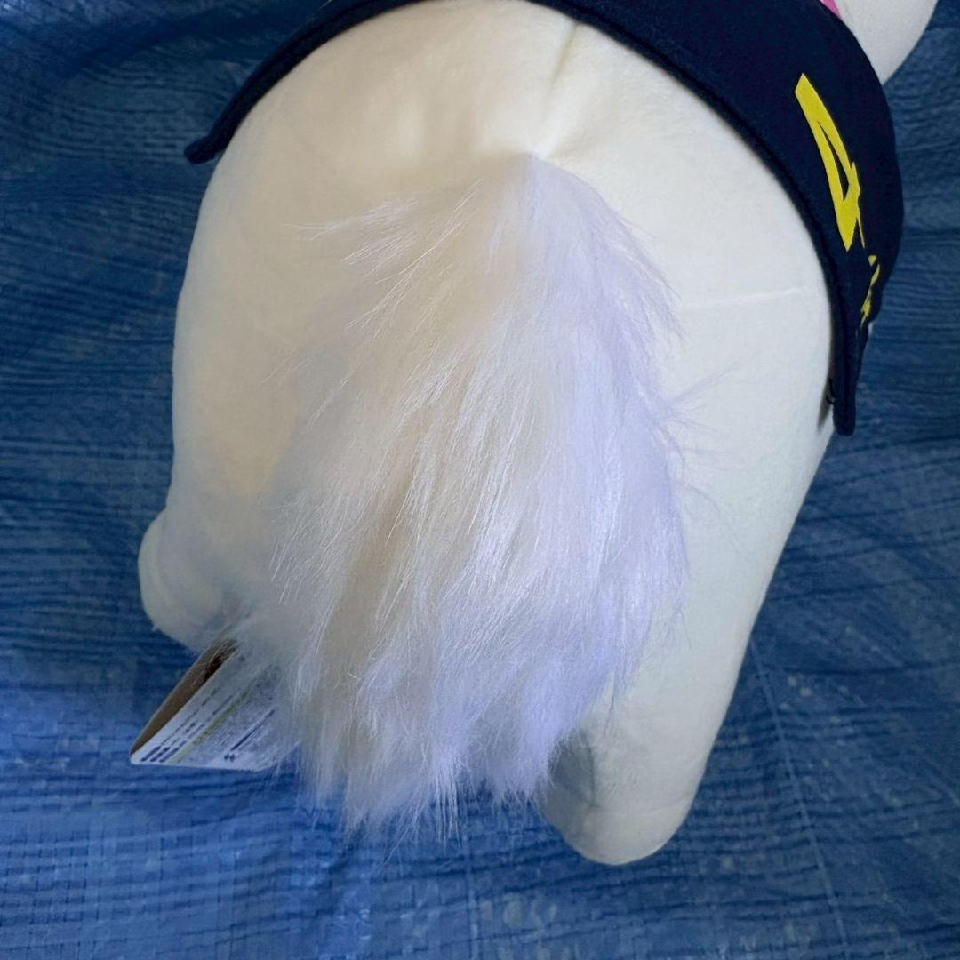 サラブレッドコレクション ソダシ