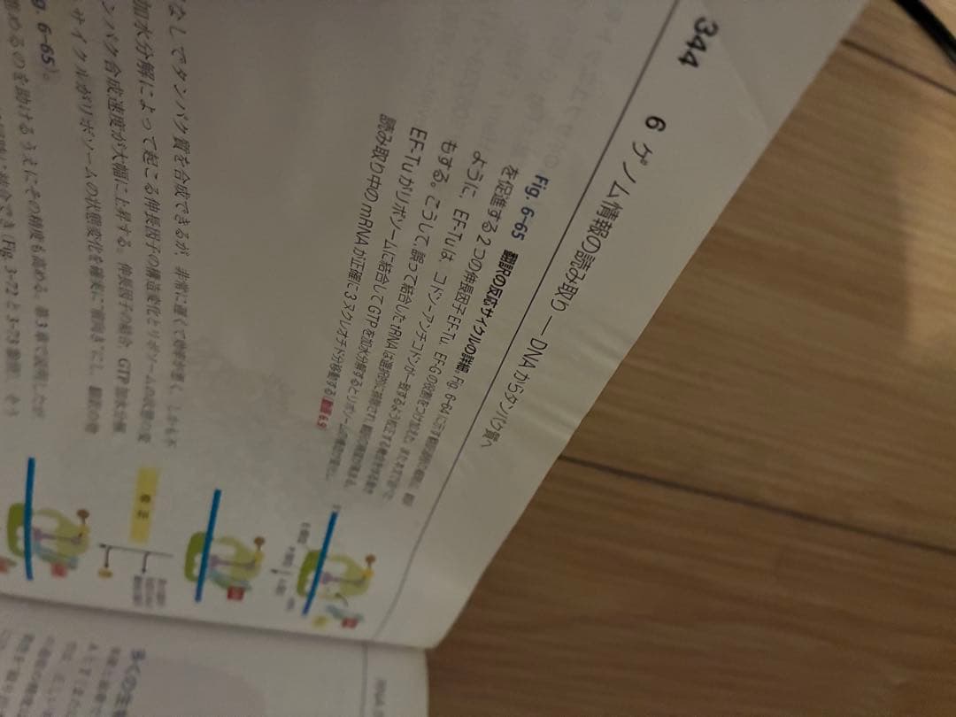 ゆきんこ　the cell 細胞の分子生物学 日本語版　第六版