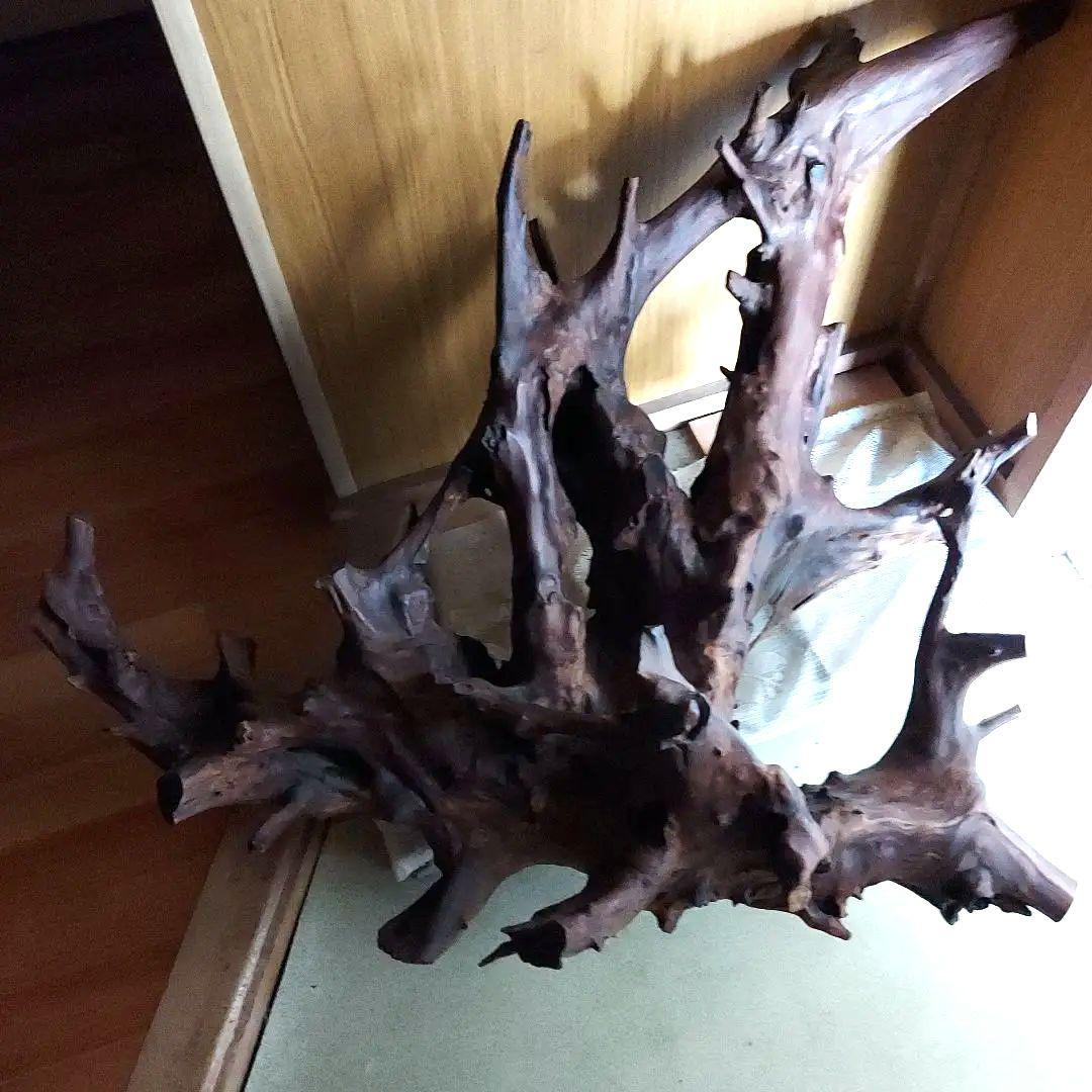 置物【天然木】切り株大型　インテリア 毎日曜￥20000最終値下げ有