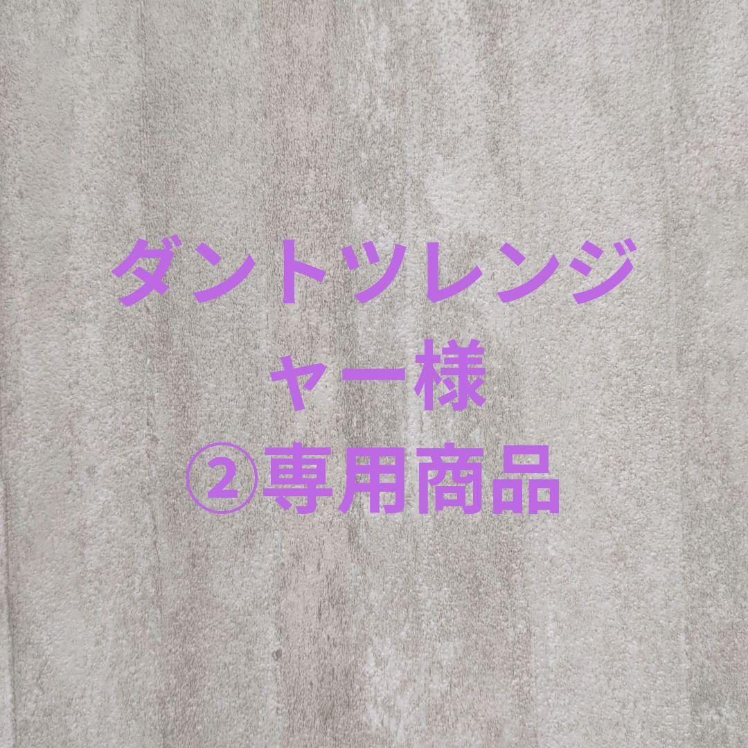 ダントツレンジャー様②専用商品