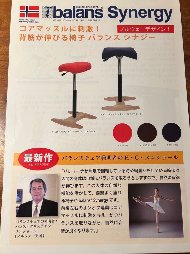 姿勢矯正　腰痛対策　バランスシナジー　スクエア
