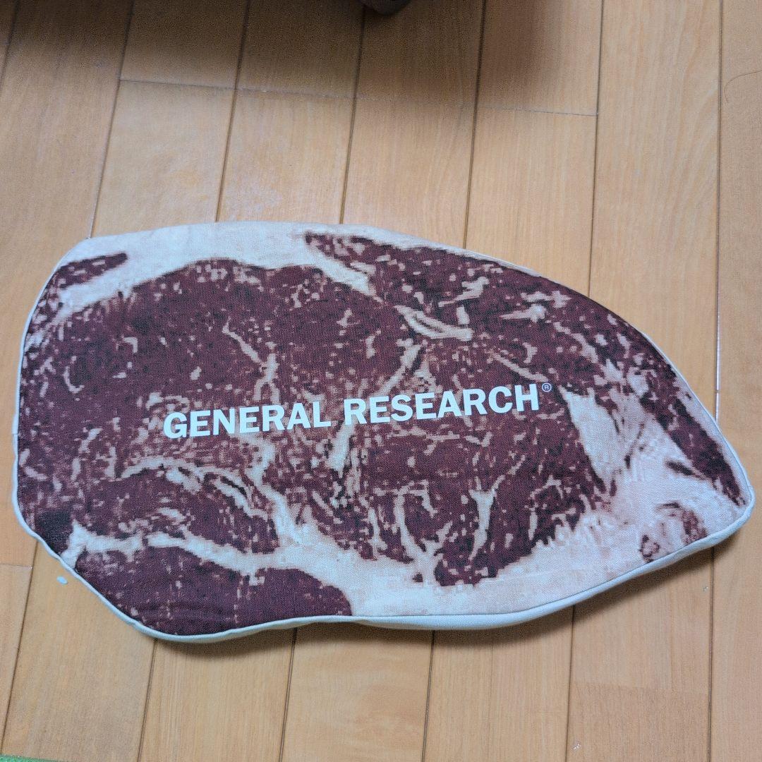 k*a様 GENERAL RESEARCH クッション Mountain Res