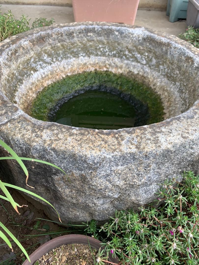 ①つくばい　65㎝✖️34 ㎝　引き取り限定