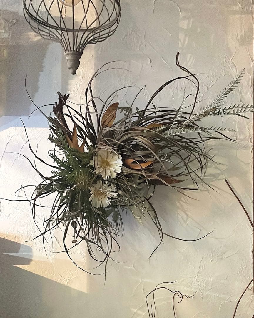 ロゼッタとグリーンの壁面アレンジ⚪︎ドライフラワー