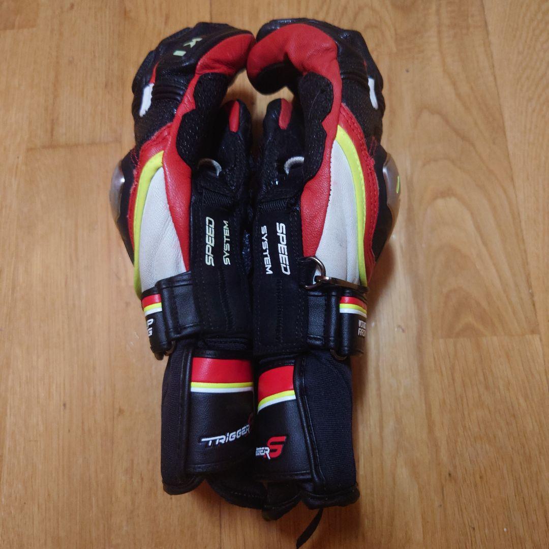LEKI Worldcup スキーグローブ