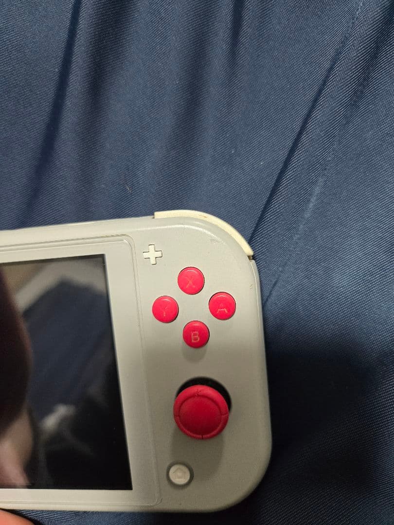 【ポピー】Nintendo Switch light