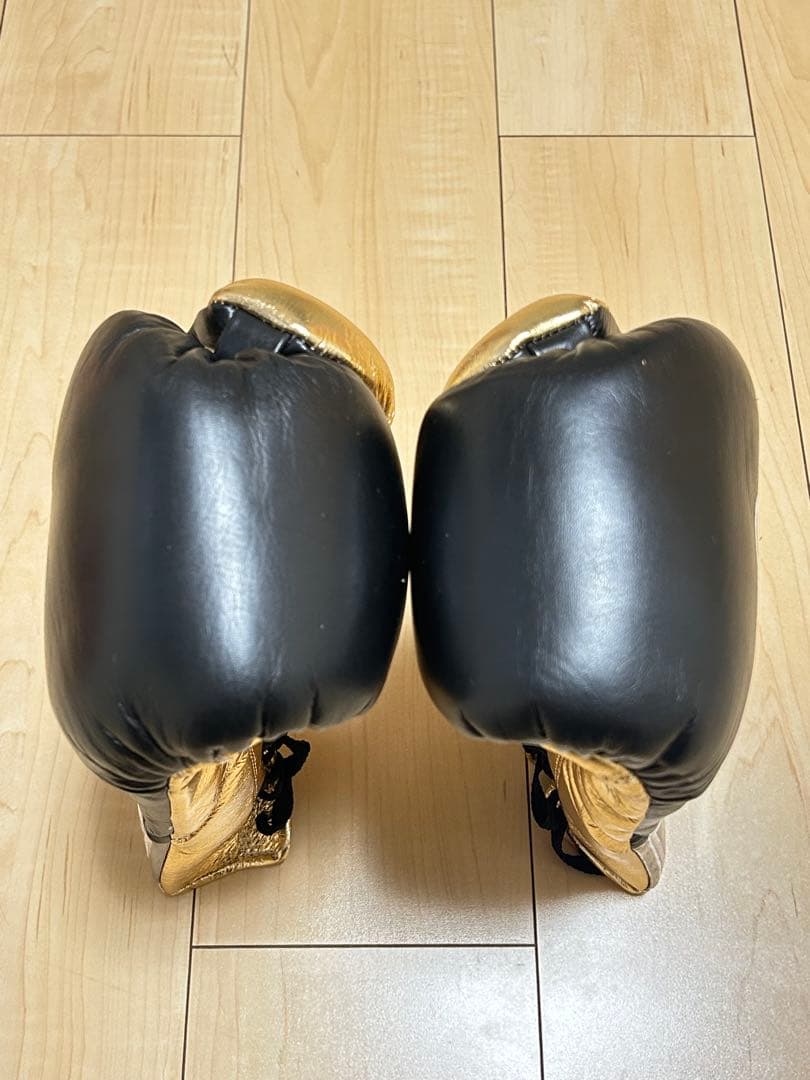 【本物】カネロ・アルバレス vs アルフォンソ・ゴメス 試合グローブ 写真あり