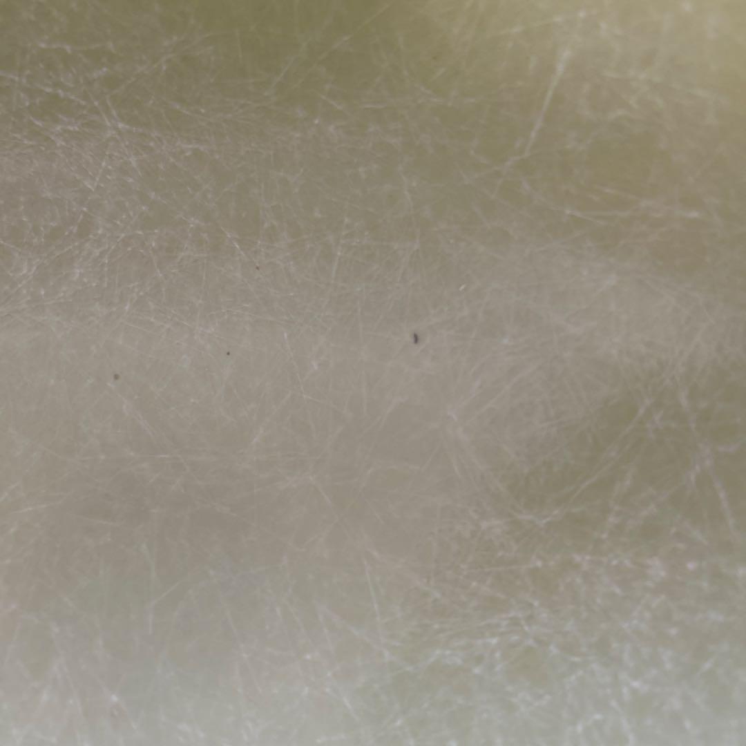 イームズ　MODERNICA サイドシェルチェア エッフェルベース　グリーン