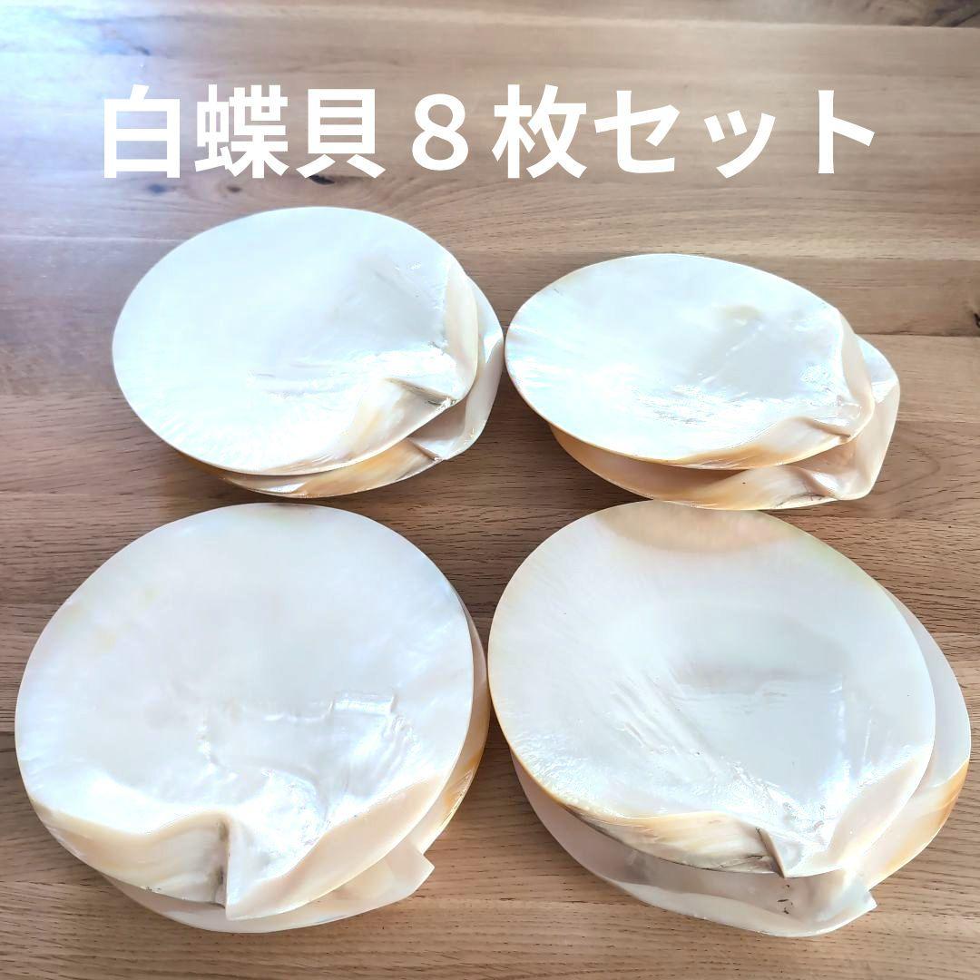 白蝶貝 貝殻製 丸型プレート 8枚セット