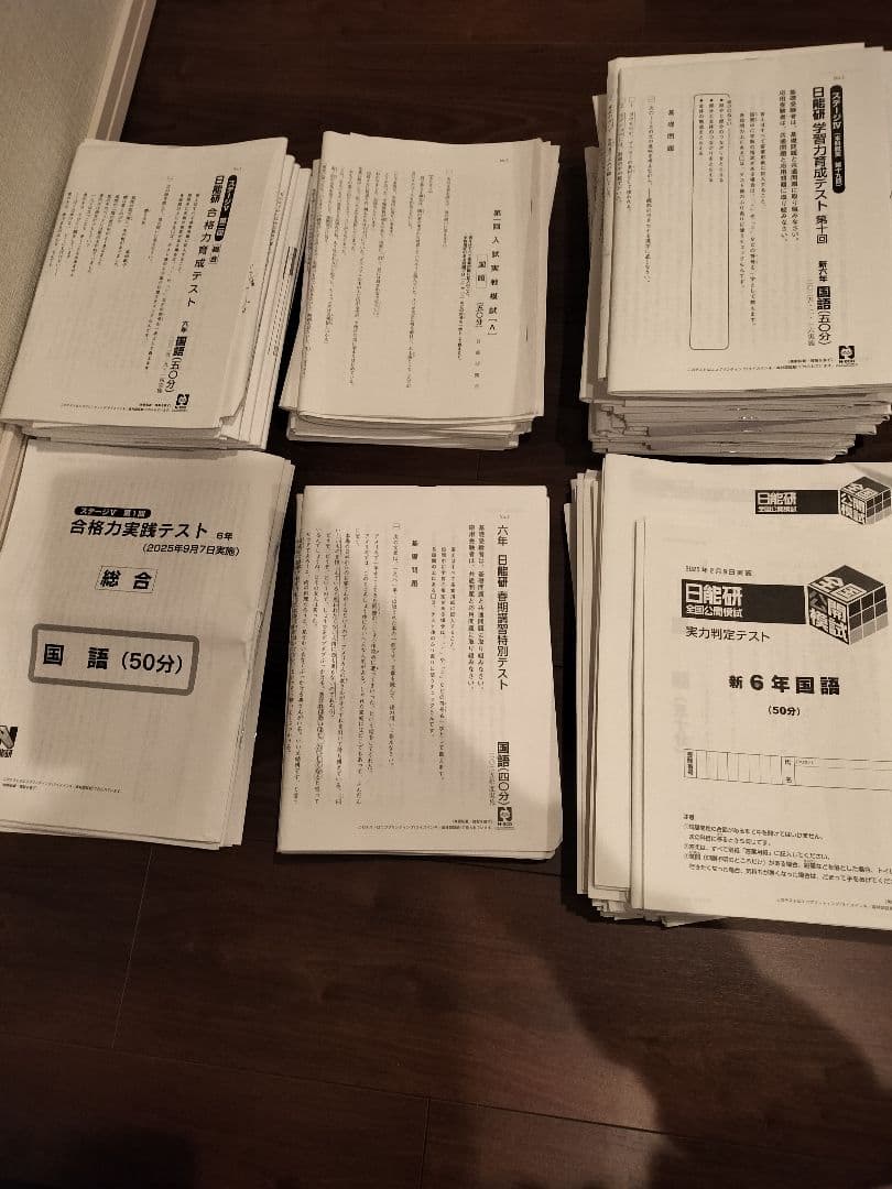 2025年度⭐︎日能研6年生1年フルセット学習力育成テスト全国公開模試等